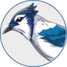 Bluejay logo